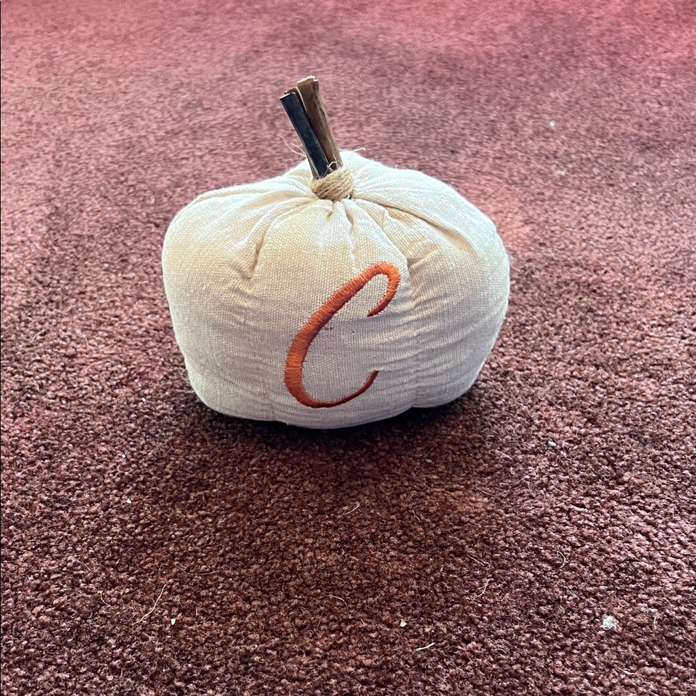Decorative Cream Pumpkin with Orange Letter